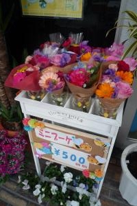 p1010409