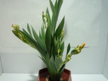 p1020864