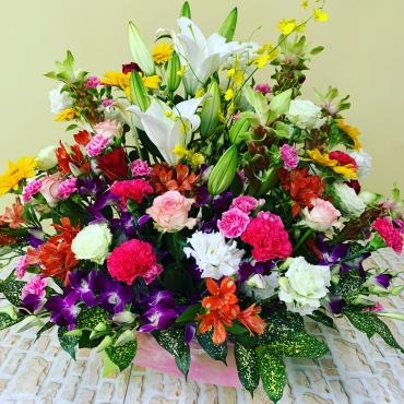 46e48f89-a71b-47cc-b2ca-1725a9ca24e3