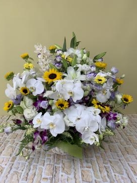 5067c340-d5cb-4ec4-b27b-6b136027a0ce