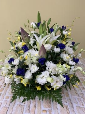 91cf9ba7-053c-449c-b0b4-4a59cddd1dfd