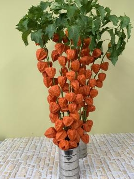 b8f8d00f-b693-47fa-8f97-440bc27411f4