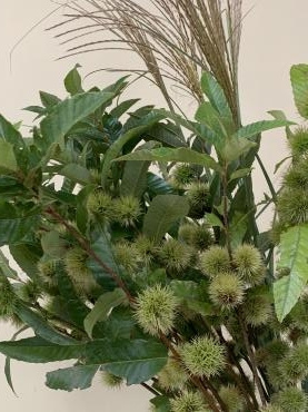 477ed8dd-9707-44c8-a10c-890adeb2c393