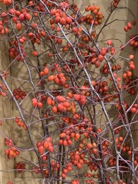 b0af05c2-8d25-4f5b-a1ac-4725ba98a52e