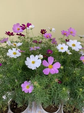 f9ed7022-7d23-40c2-8f65-7c53b7d75e8e