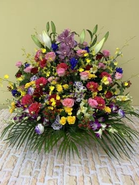 a9592626-44e6-49cd-9146-755bbc2b5602