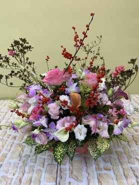 9ea7370c-5049-47a5-b6a6-42ce44d94092