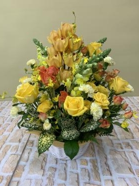 735d2923-3cd2-4a98-8e0a-598698180baf