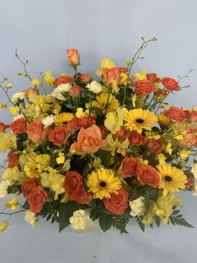 72d453e4-5fe1-4cb1-a972-738b33ba17cd