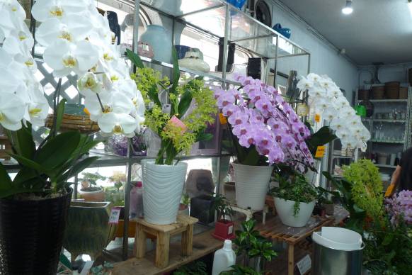 「花福生花店」　（京都府京都市伏見区）の花屋店舗写真3