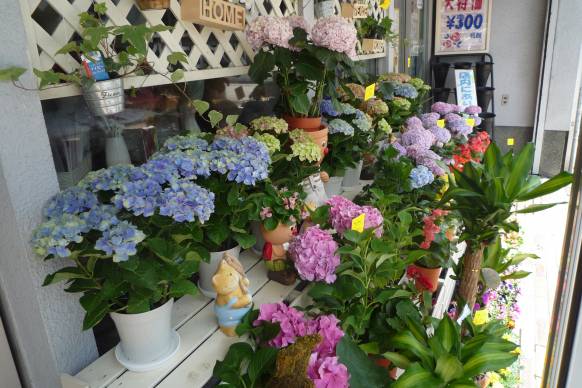 「花福生花店」　（京都府京都市伏見区）の花屋店舗写真2